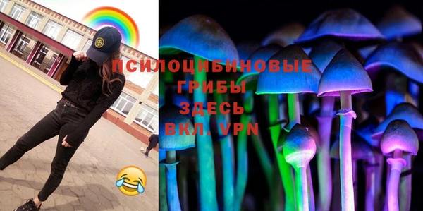 первитин Алексеевка