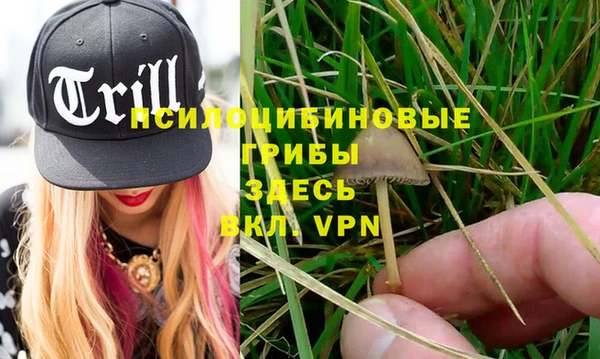 MDMA Premium VHQ Аркадак