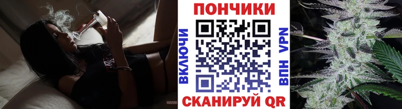 как найти наркотики  Александровск  KRAKEN онион  Бошки Шишки индика 